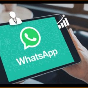 WhatsApp Marketing Hero